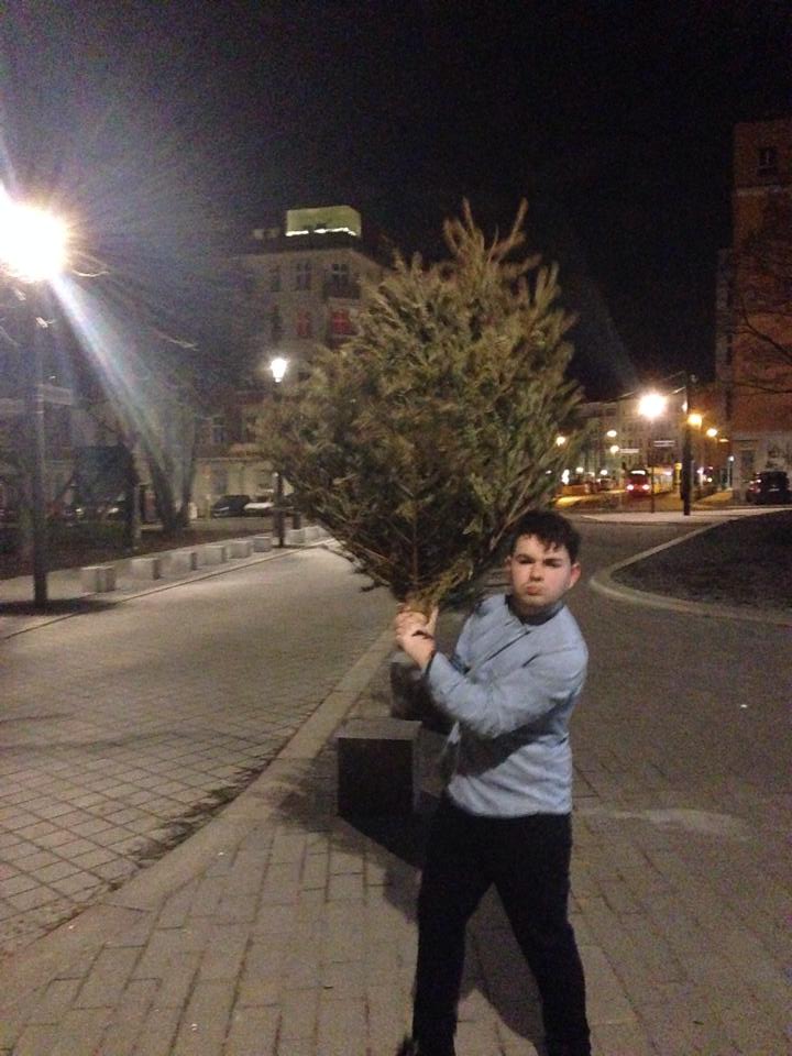 I found a Christmas Tree in East Berlin - Vegetation exists