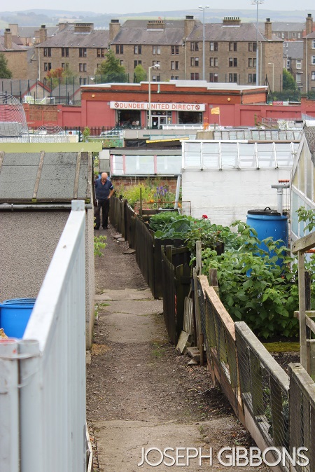 Dundee United FC - Tannadice Park