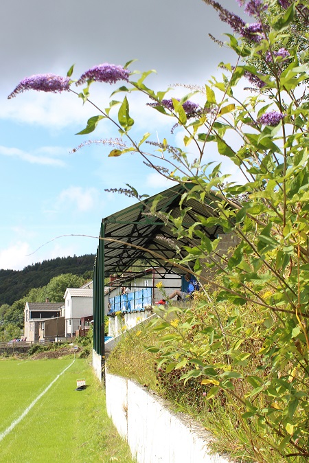 Treharris Athletic Western FC - Athletic Ground