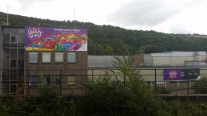 13663398_10208352807312520_594418432_o