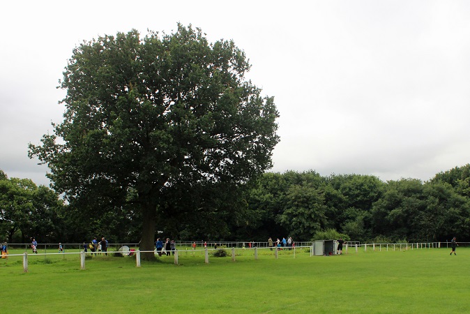 AFC Monton - New Alder Park